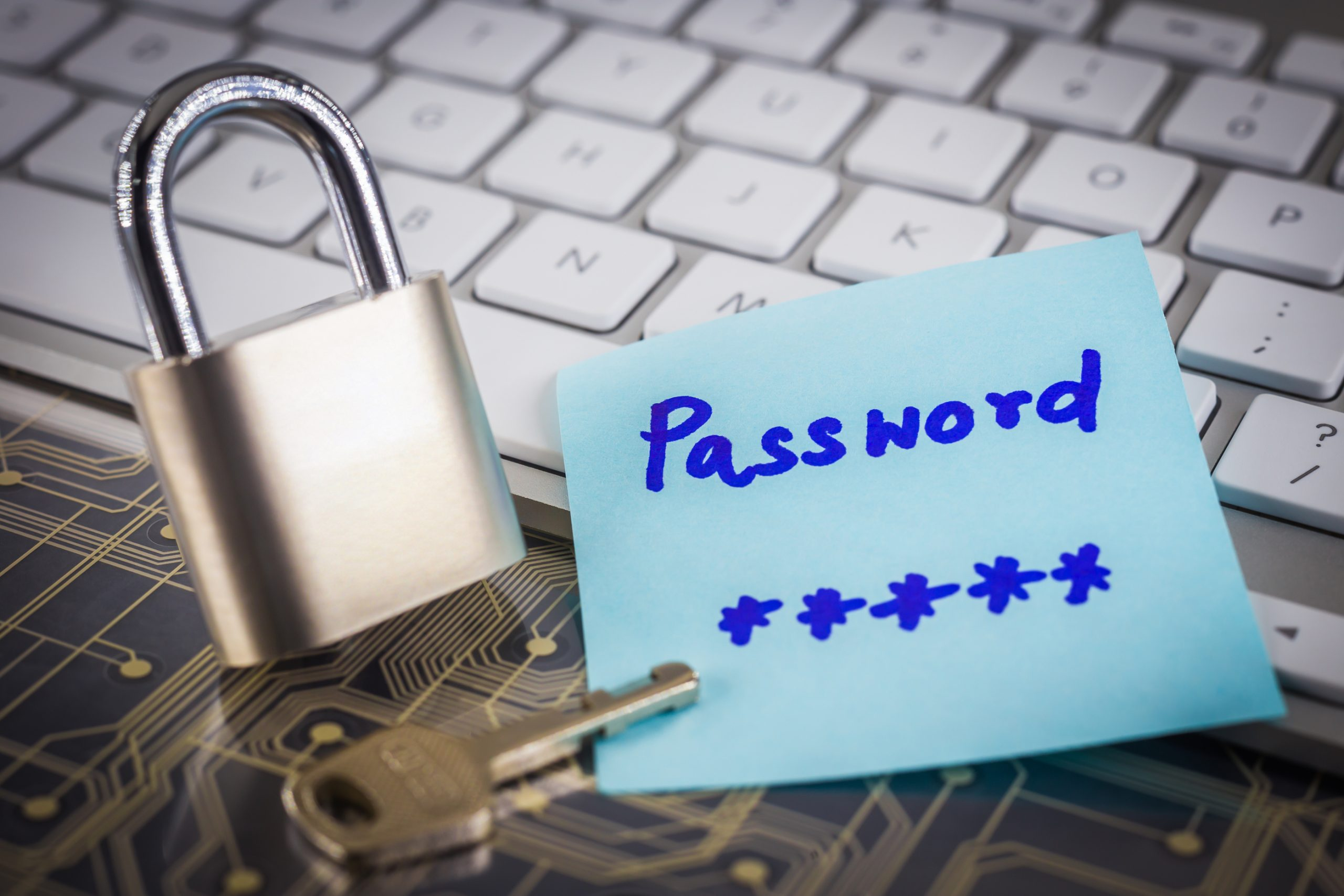 Business team using secure password management on work devices