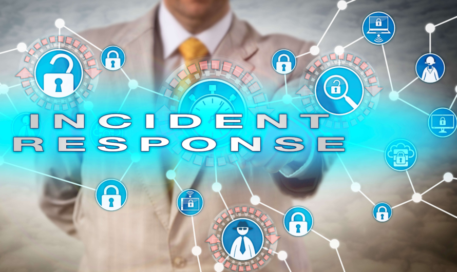Data Breach Response Guide: What Individuals and Small Businesses Should Do First