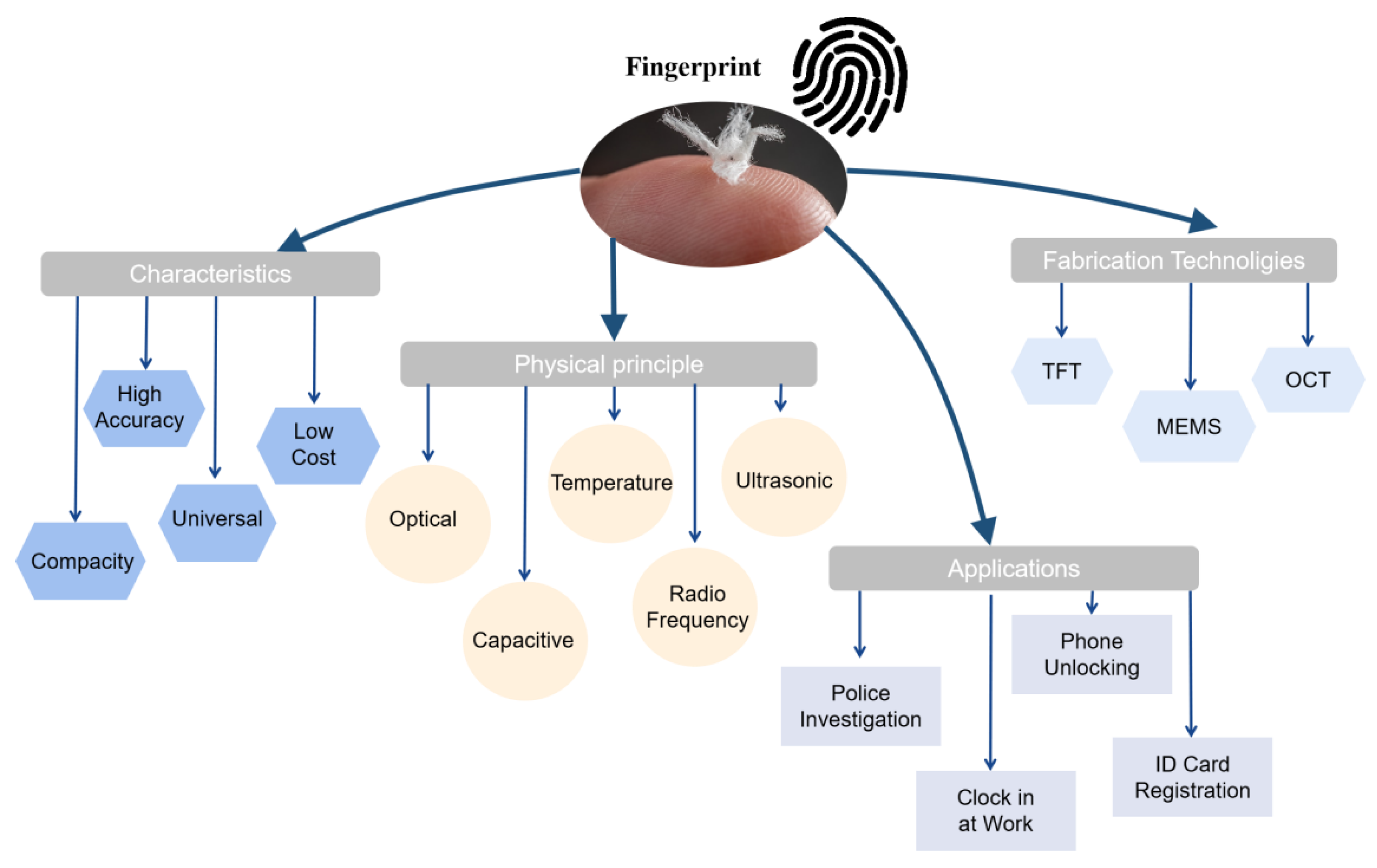 Fingerprint device unlock authorizing a passkey locally