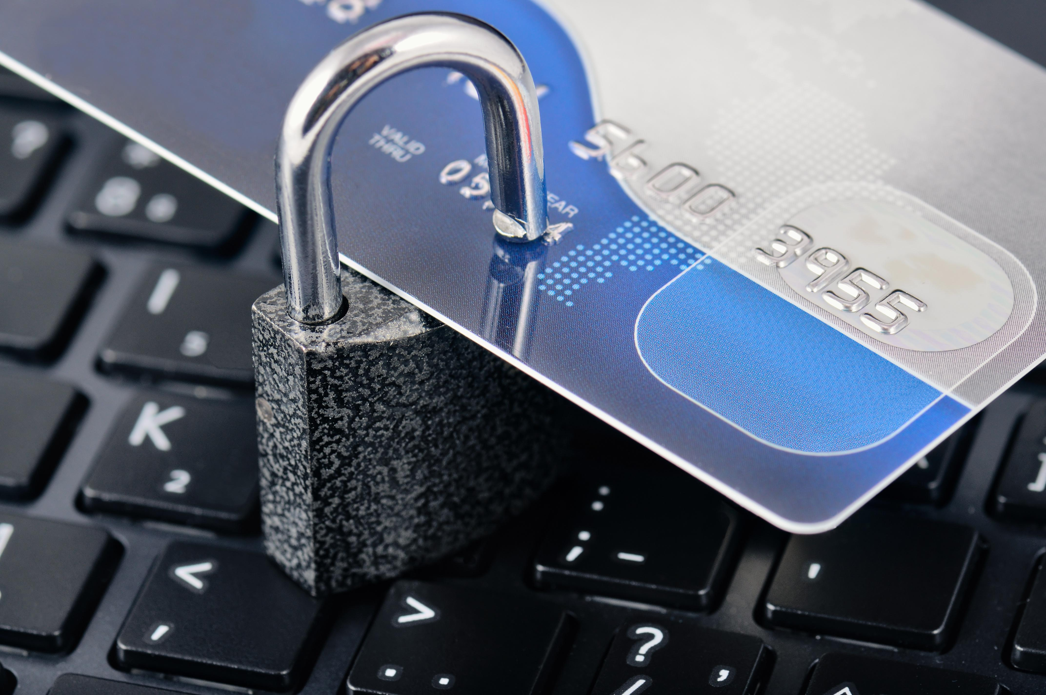 Identity theft monitoring and digital security alerts