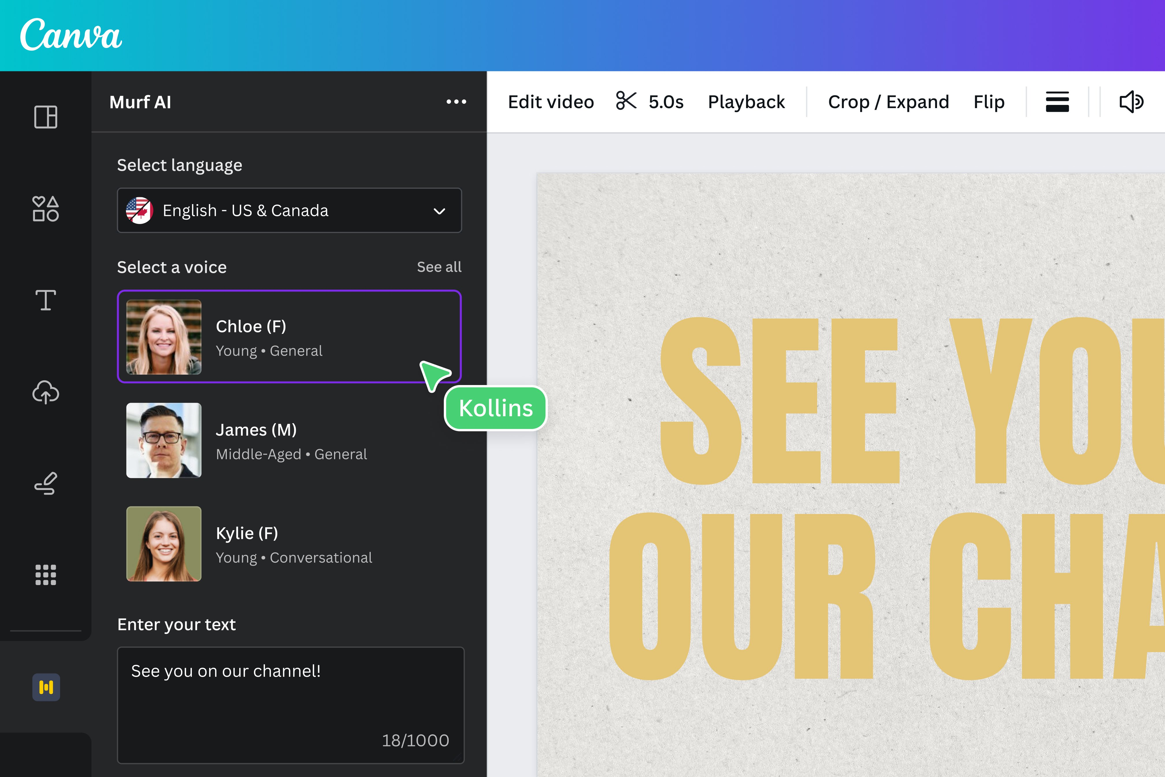 Text-to-speech voice generation and audio quality review