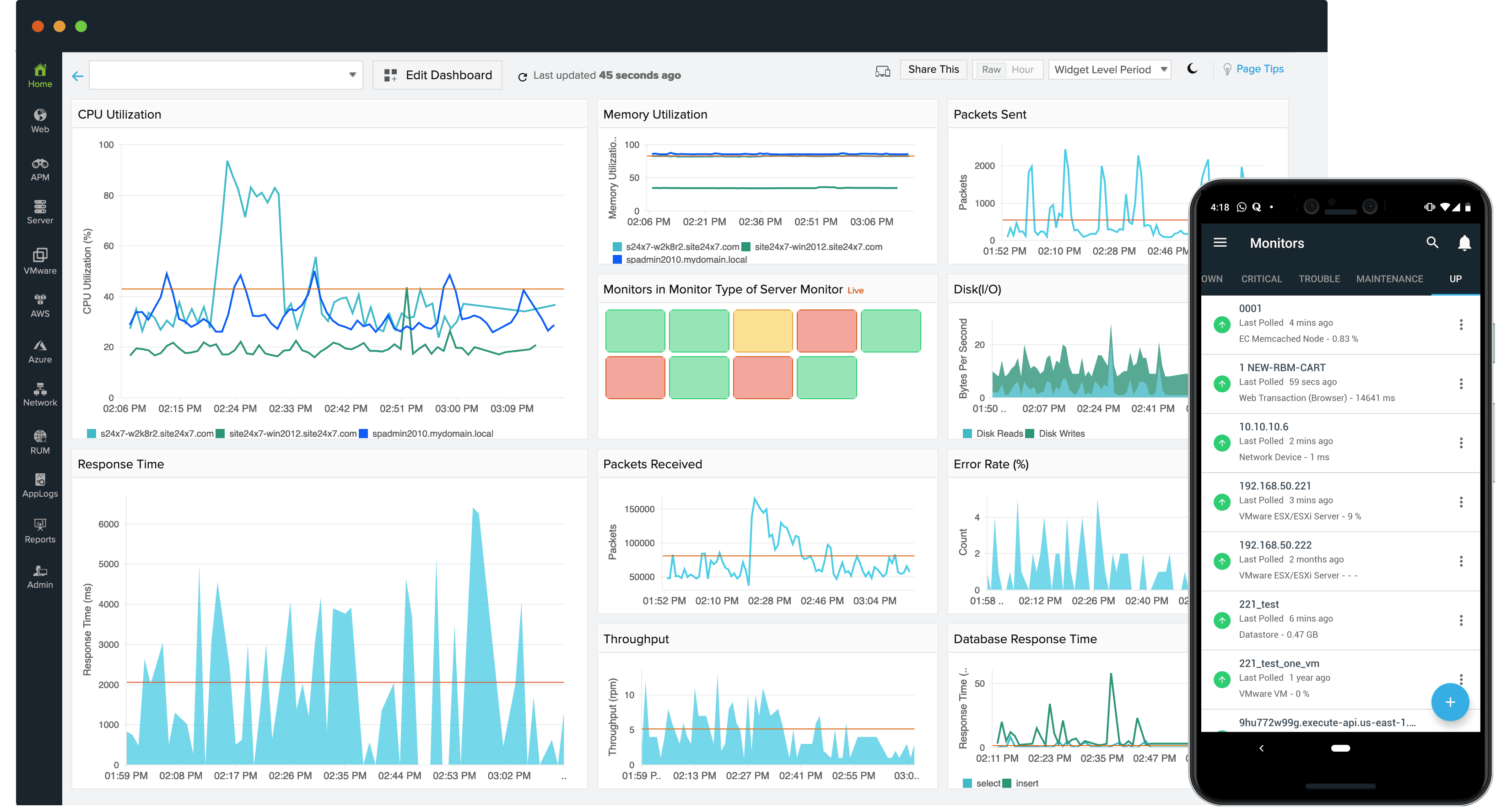 Hosting monitoring and support for a business website